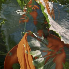 Photographie, Electric Nature 11, Audrey Dupre