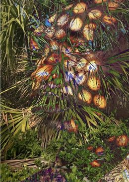 Photography, Electric Nature 14, Audrey Dupre
