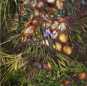 Fotografien, Electric Nature 14, Audrey Dupre