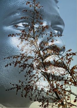 Photography, Electric Nature 15, Audrey Dupre