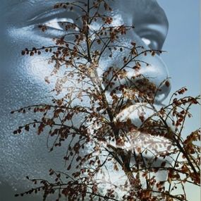 Fotografien, Electric Nature 15, Audrey Dupre