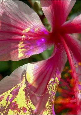 Photography, Electric Nature 16, Audrey Dupre