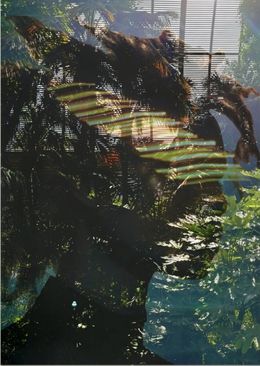 Photography, Electric Nature 18, Audrey Dupre