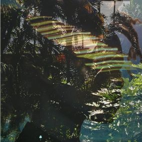 Photographie, Electric Nature 18, Audrey Dupre