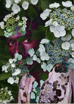 Photography, Electric Nature 19, Audrey Dupre