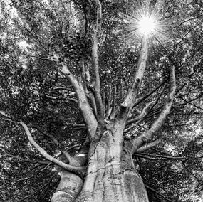 Photography, Ôte toi de mon soleil, Joachim Beauvilain