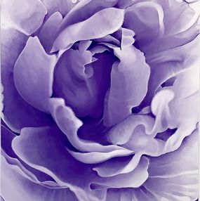 Gemälde, Pivoine, Clément Verdière
