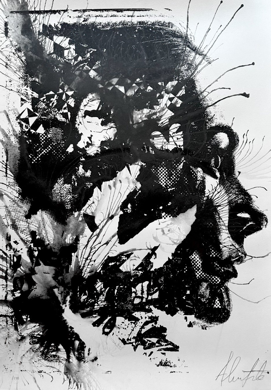 Vhils, Graphite Vhils, Graphite