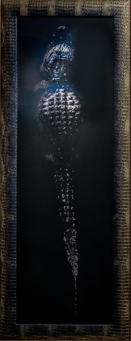 Fotografien, Antédiluvien (cadre Croco) 1/1, Philip Richard