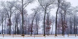 Fotografien, Panoramic winter park scene, Beyti Barbaros