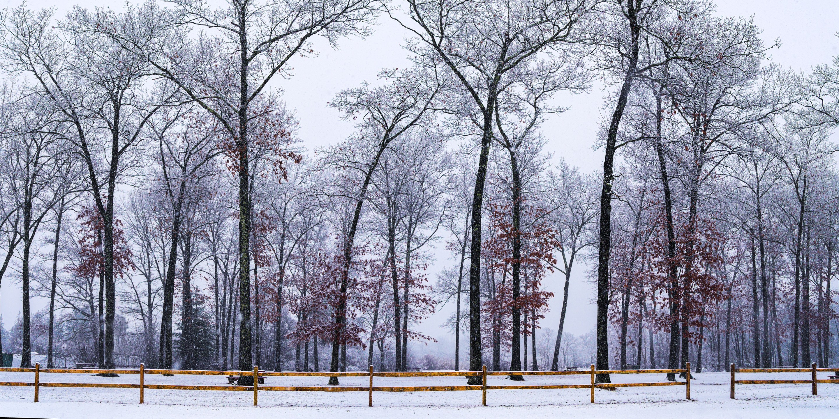Beyti Barbaros, Panoramic winter park scene Beyti Barbaros, Panoramic winter park scene