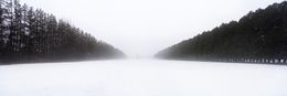Photography, Panoramic winter scene with trees, Beyti Barbaros