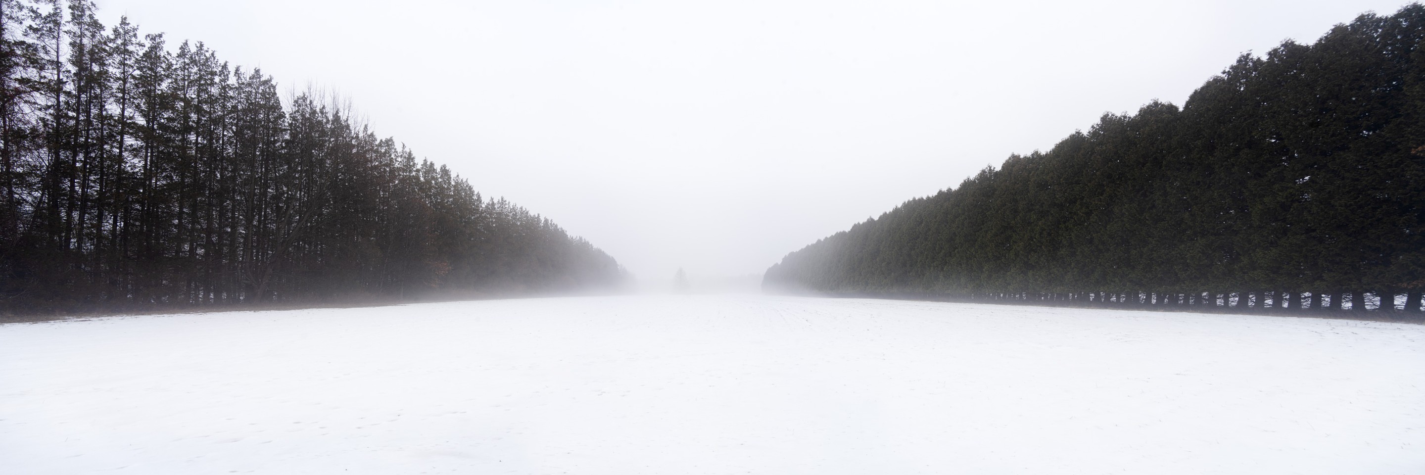 Beyti Barbaros, Panoramic winter scene with trees Beyti Barbaros, Panoramic winter scene with trees
