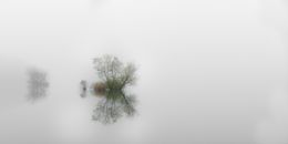 Photography, Panoramic misty morning lake scene with a tree, Beyti Barbaros