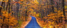 Photography, Panoramic Autumn forest scenery with a road, Beyti Barbaros