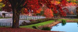 Photography, Panoramic Autumn farm scenery with tree and a pound, Beyti Barbaros