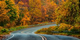 Photography, Panoramic Autumn forest scenery with a winding road, Beyti Barbaros