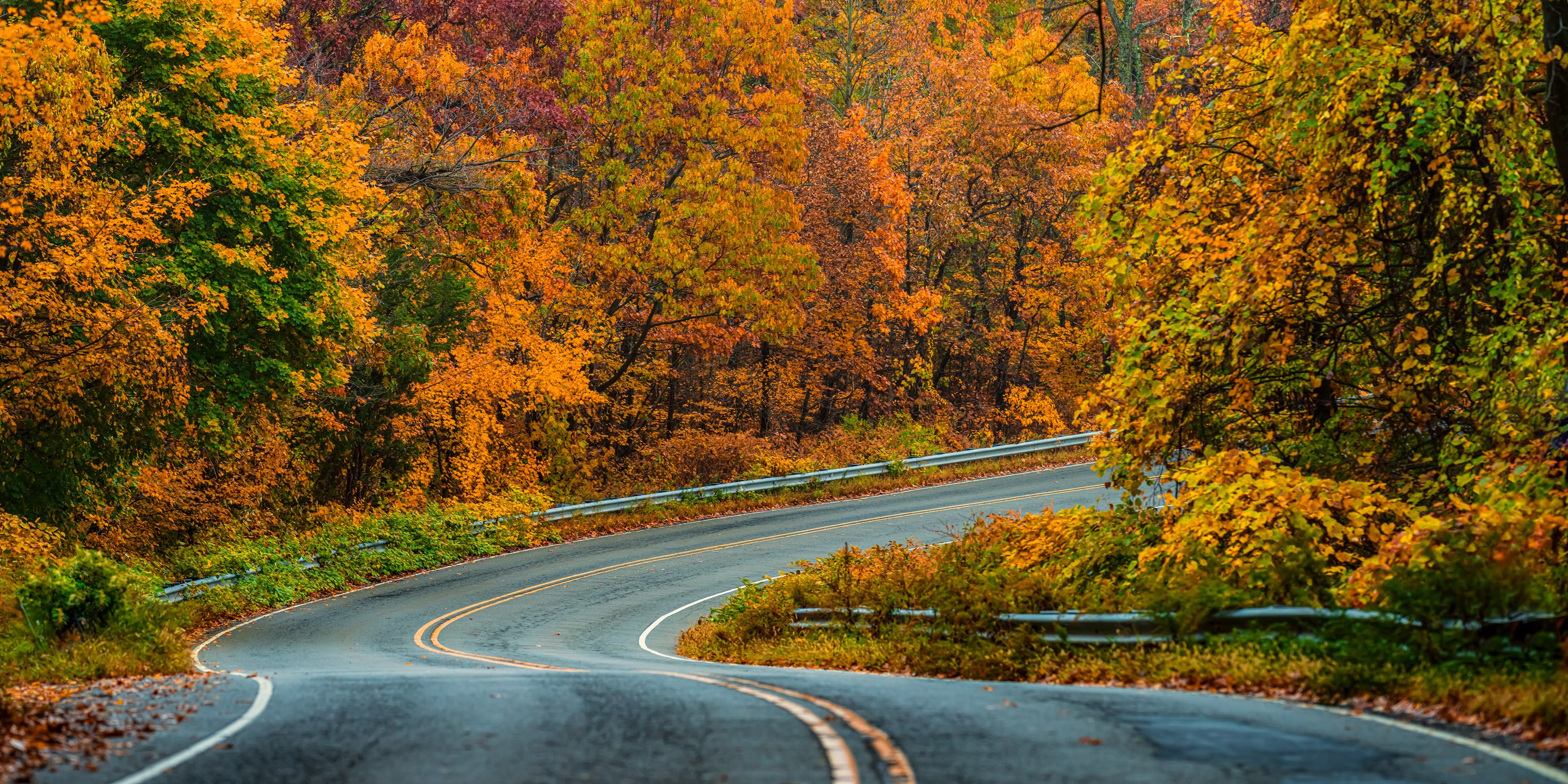 Beyti Barbaros, Panoramic Autumn forest scenery with a winding road Beyti Barbaros, Panoramic Autumn forest scenery with a winding road