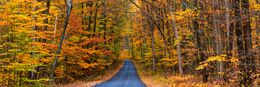 Photography, Panoramic Autumn forest scene with a road, Beyti Barbaros