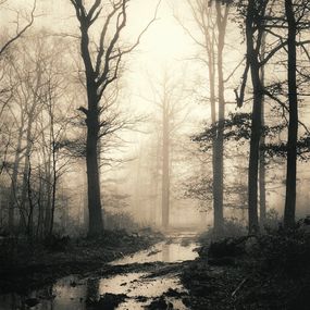Photographie, Dark, Andres Romero