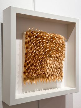 Sculpture, Ailante, Ana Montoya