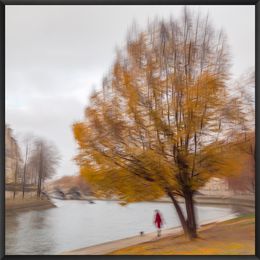 Photography, Promenade au bord de la Seine - Paris, Fan LI