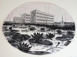 Dessin, Dark Forest, Nymphaea, Taisia Korotkova