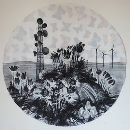 Fine Art Drawings, Dark Forest, Pulsatilla patens, Taisia Korotkova