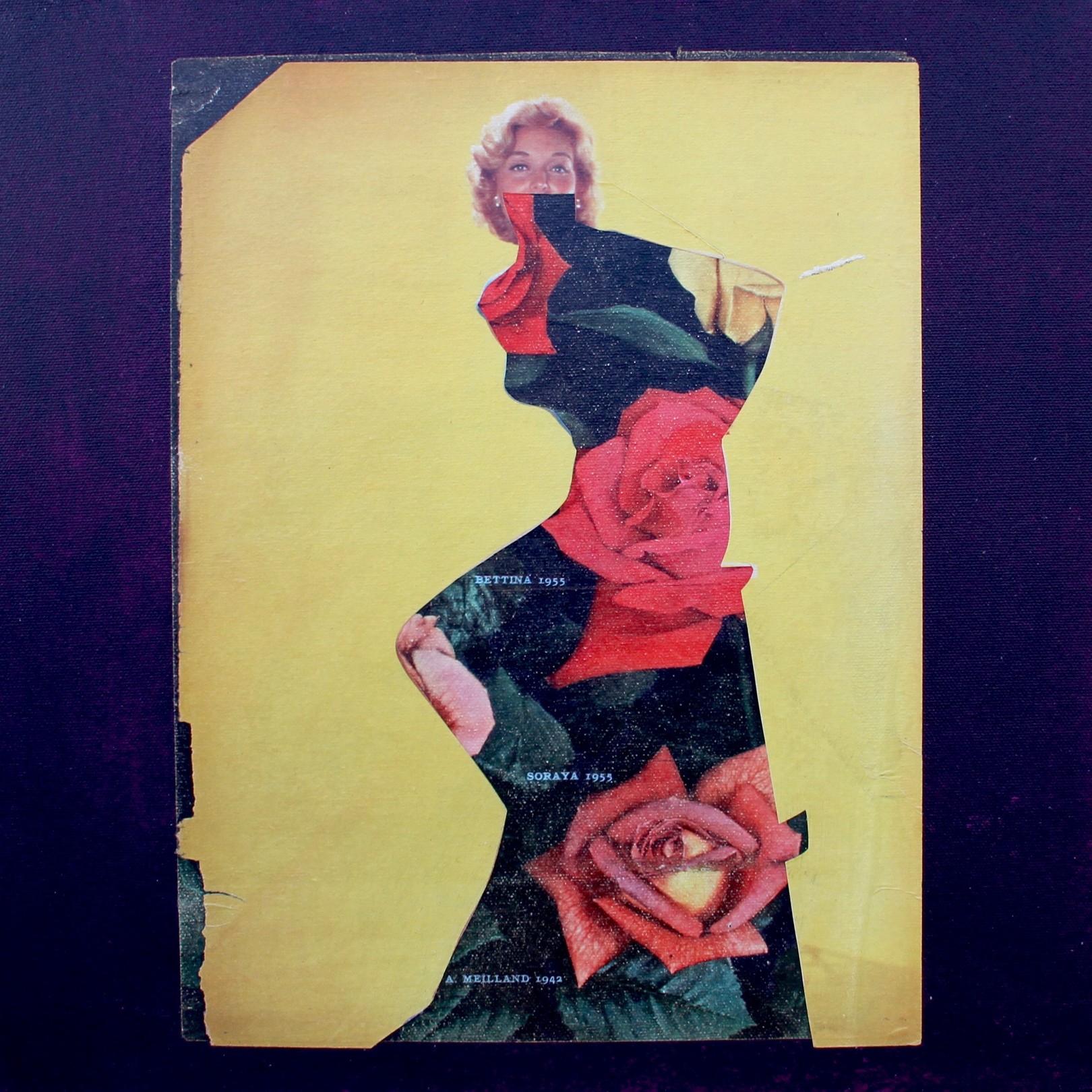 Marian Williams, Silhouette on Roses Marian Williams, Silhouette on Roses