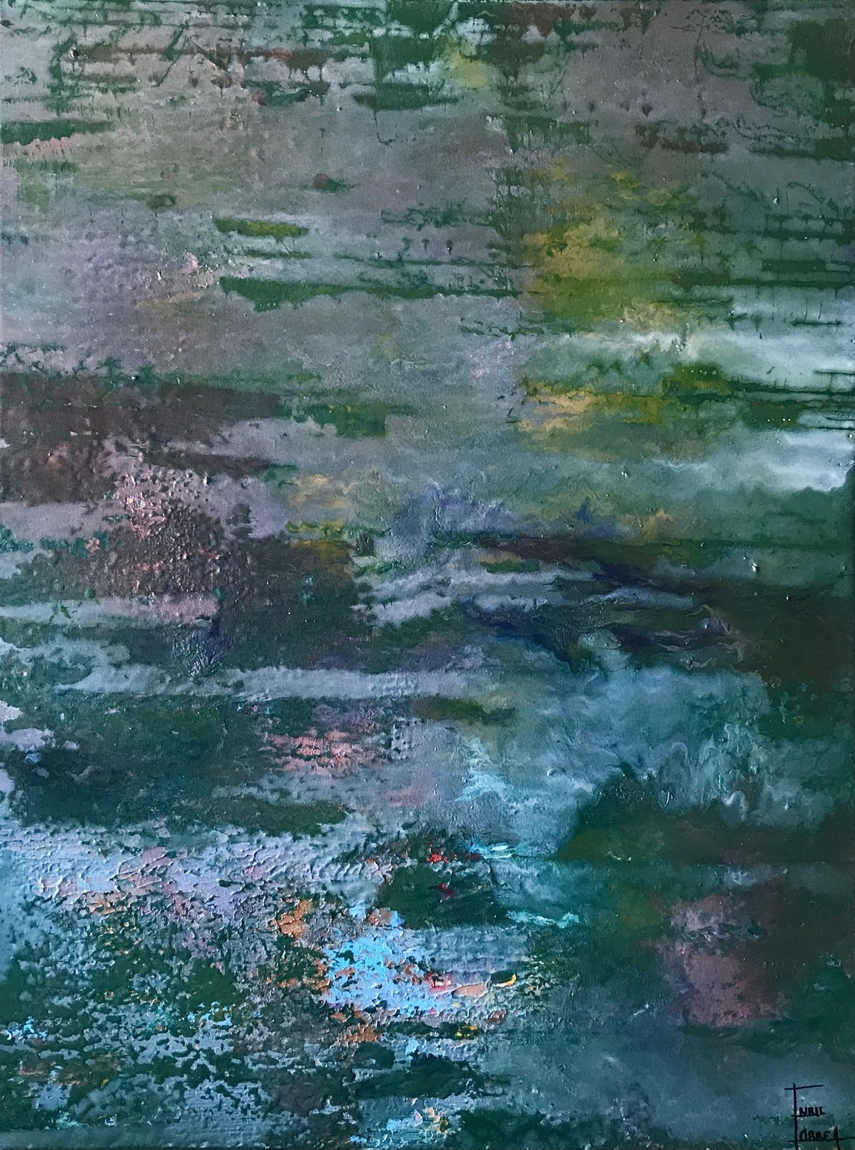 Enric Correa, Wetlands Enric Correa, Wetlands