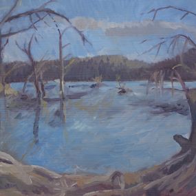 Gemälde, C & O Canal, Craig Moran