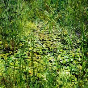 Fotografien, Impressionist pond, Viet Ha Tran