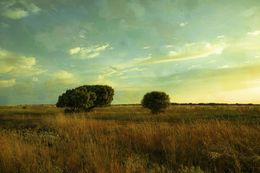 Photography, Whispers of sunset, Viet Ha Tran
