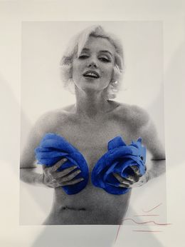 Photography, Marilyn With Blue Roses, Bert Stern