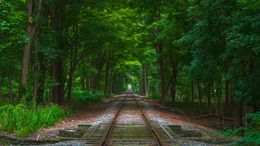 Photographie, You`re waiting for a train, Beyti Barbaros