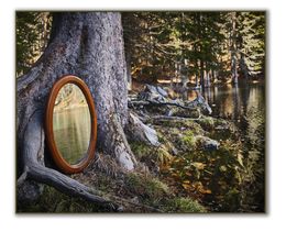 Photographie, Végétal - Reflets de soi, Moz - David Vuillermoz
