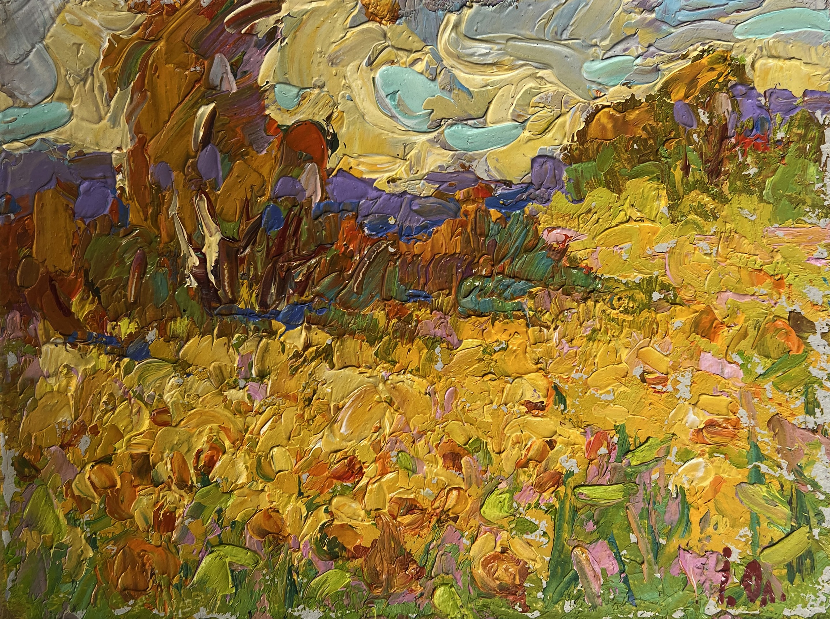 Ivanyuk Oleksiy, Huge fields of sunflowers Ivanyuk Oleksiy, Huge fields of sunflowers