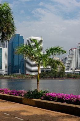 Photography, Bangkok, thailand., Dmitri Talianski