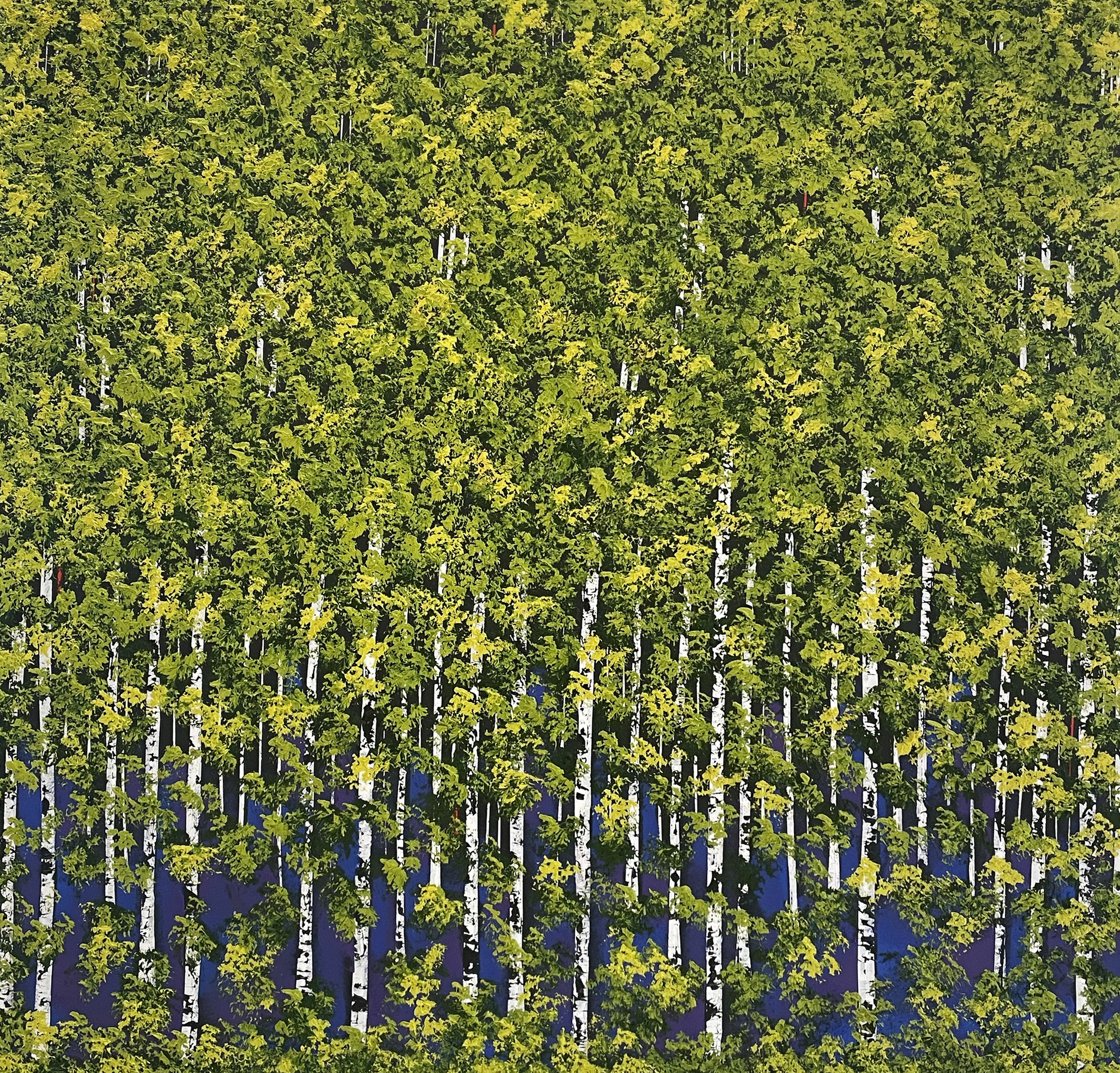 Benedetto Magnano San Lio, Bosco verde Benedetto Magnano San Lio, Bosco verde