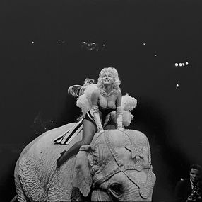 Fotografien, Marilyn Monroe et l'éléphantin du cirque Barnum, Walter Carone