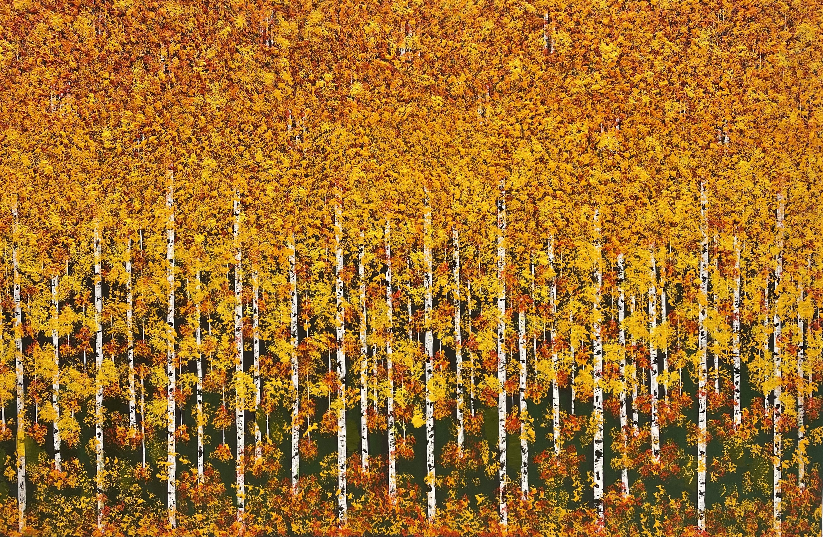 Benedetto Magnano San Lio, Bosco Giallo Benedetto Magnano San Lio, Bosco Giallo