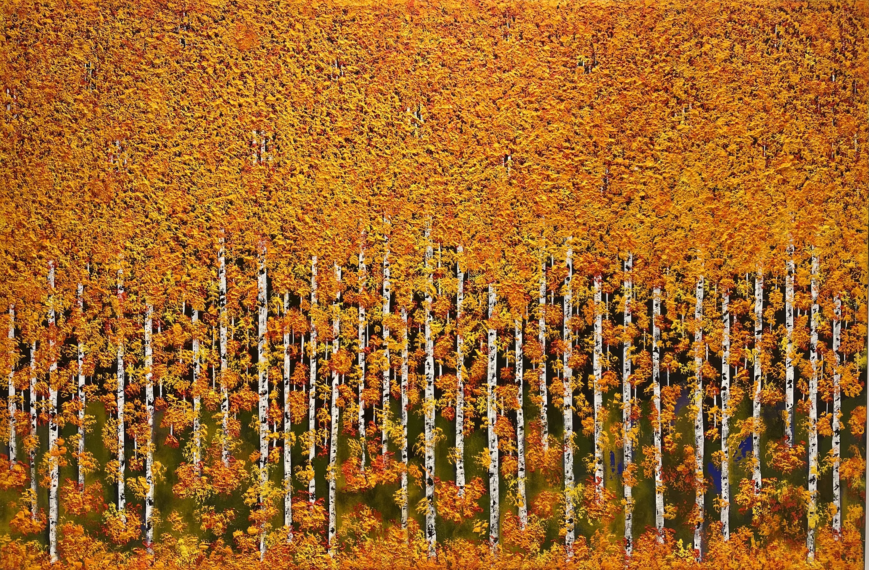 Benedetto Magnano San Lio, Bosco Giallo Benedetto Magnano San Lio, Bosco Giallo