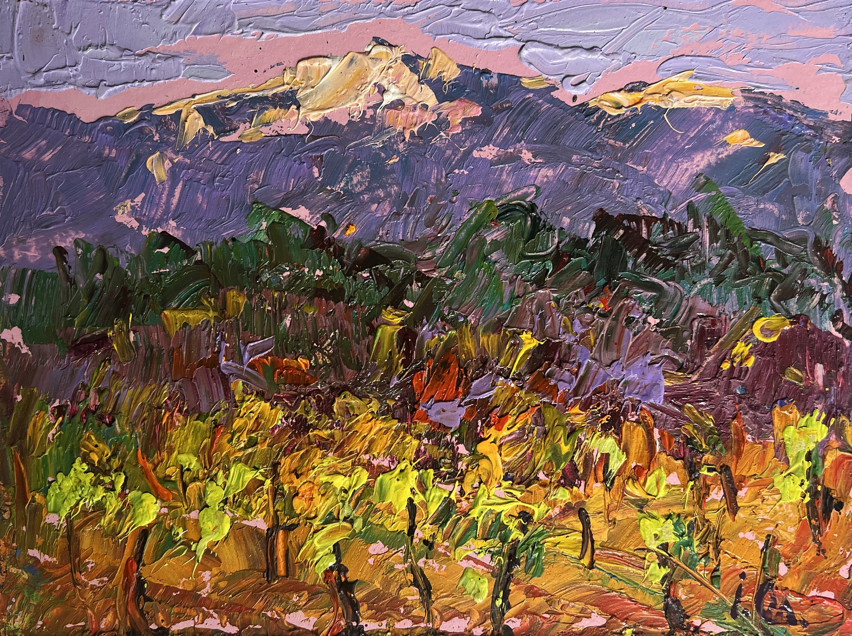 Ivanyuk Oleksiy, Vineyards in the mountains Ivanyuk Oleksiy, Vineyards in the mountains