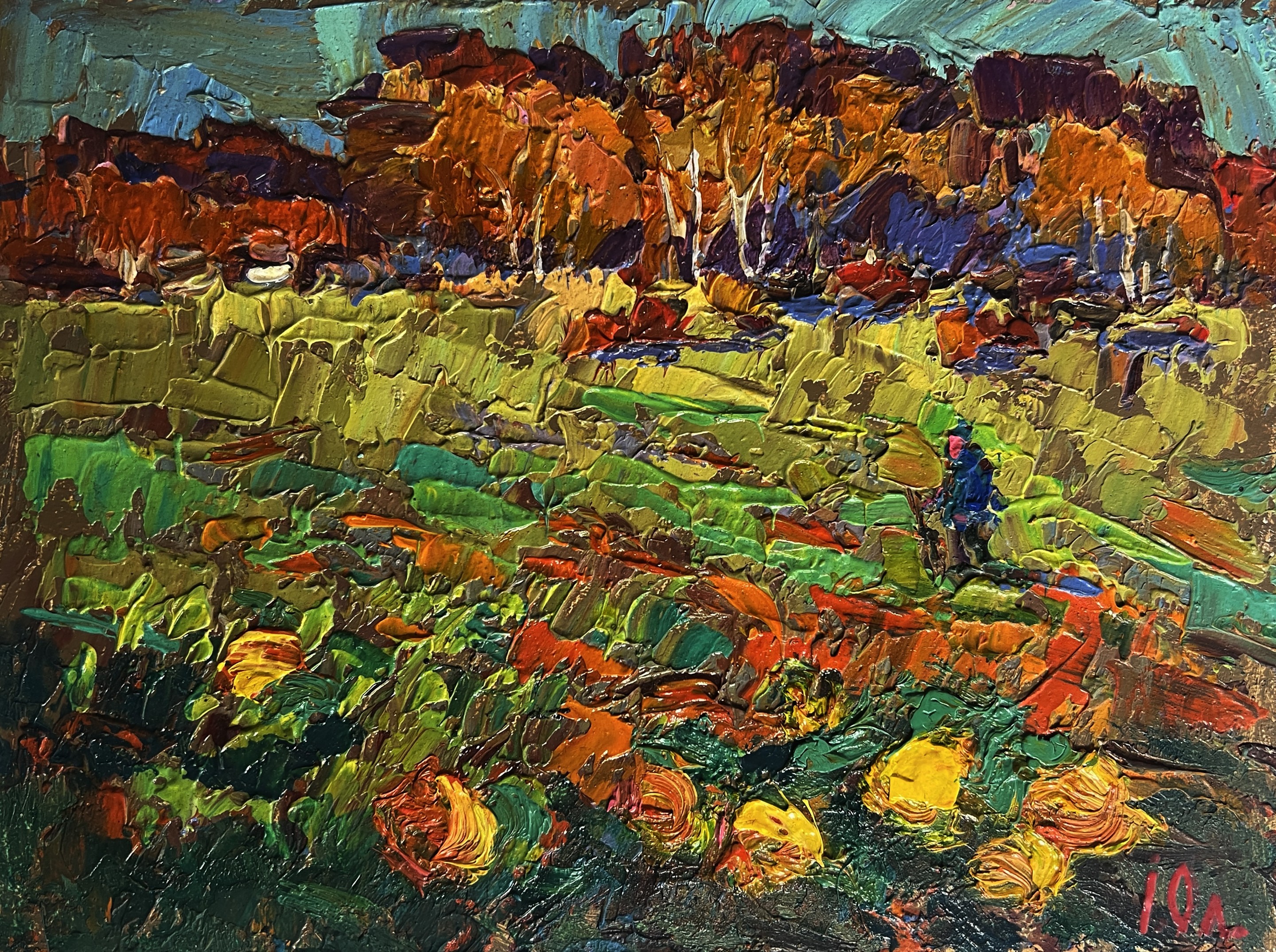 Ivanyuk Oleksiy, Pumpkins are growing in the garden Ivanyuk Oleksiy, Pumpkins are growing in the garden