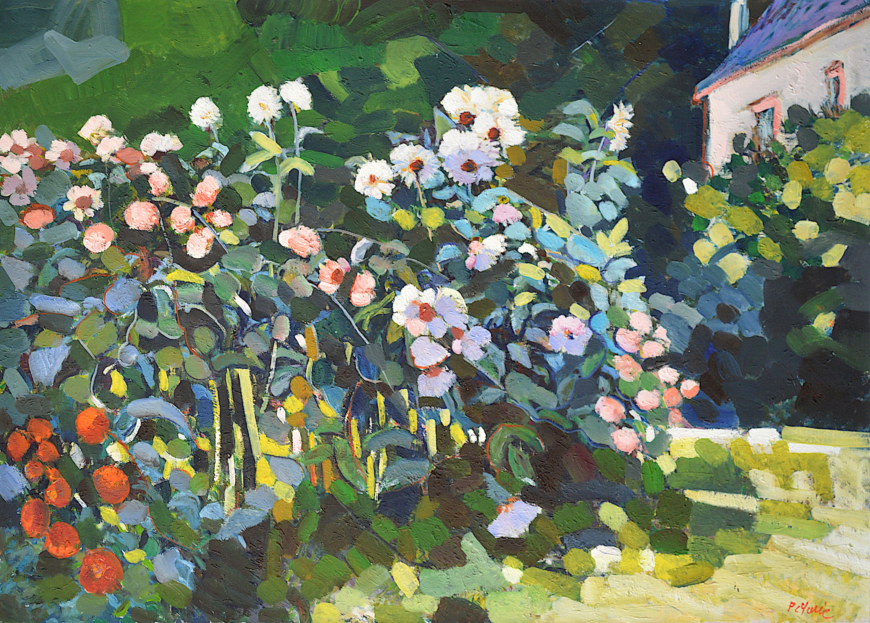 Patrick Marie, Massif de dahlias Patrick Marie, Massif de dahlias