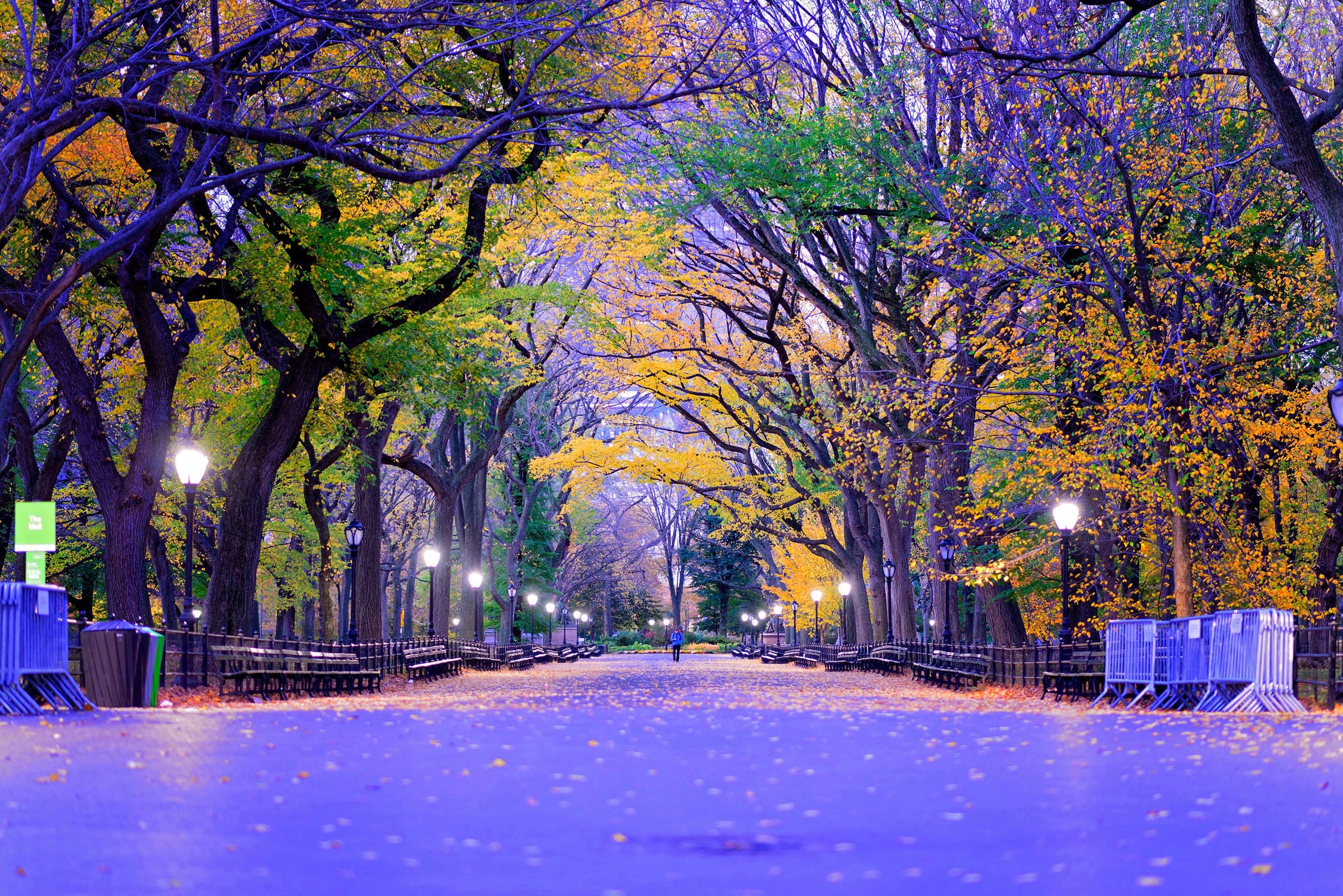 Beyti Barbaros, The Mall in Central Park, New York City Beyti Barbaros, The Mall in Central Park, New York City