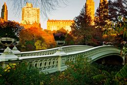 Photography, Bow Bridge in Central Park, New York City, Beyti Barbaros