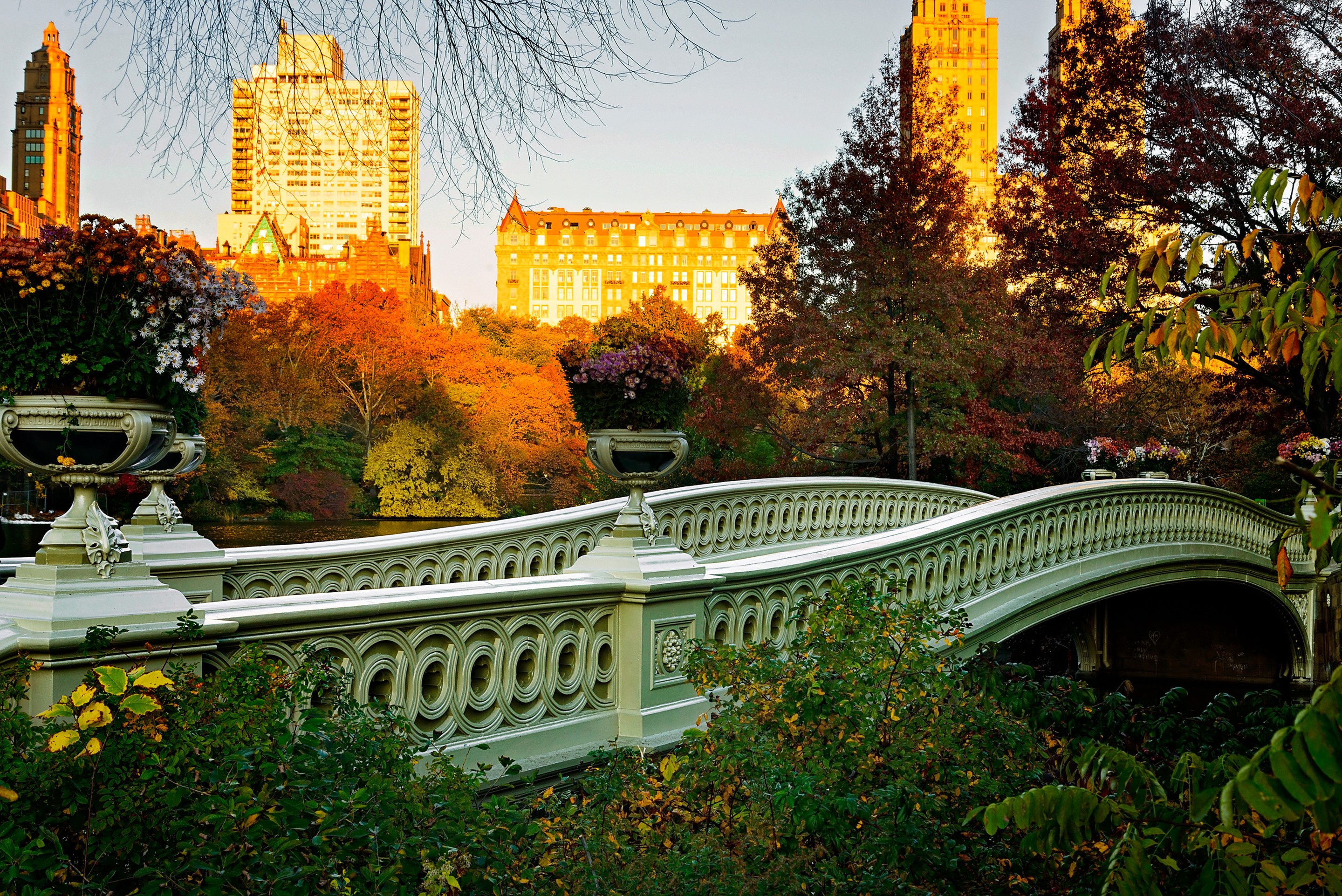 Beyti Barbaros, Bow Bridge in Central Park, New York City Beyti Barbaros, Bow Bridge in Central Park, New York City