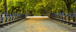 Photography, Central Park, New York City, Beyti Barbaros