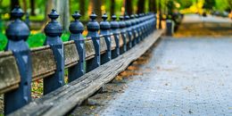 Photography, Benches in Central Park, New york City, Beyti Barbaros